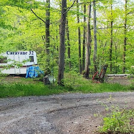 Camping Le P'Tit Bonheur Escaro Eksteriør bilde